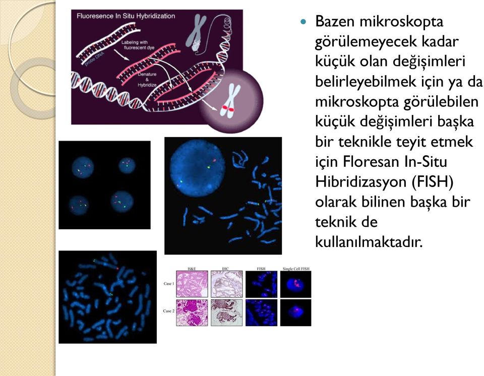 değişimleri başka bir teknikle teyit etmek için Floresan