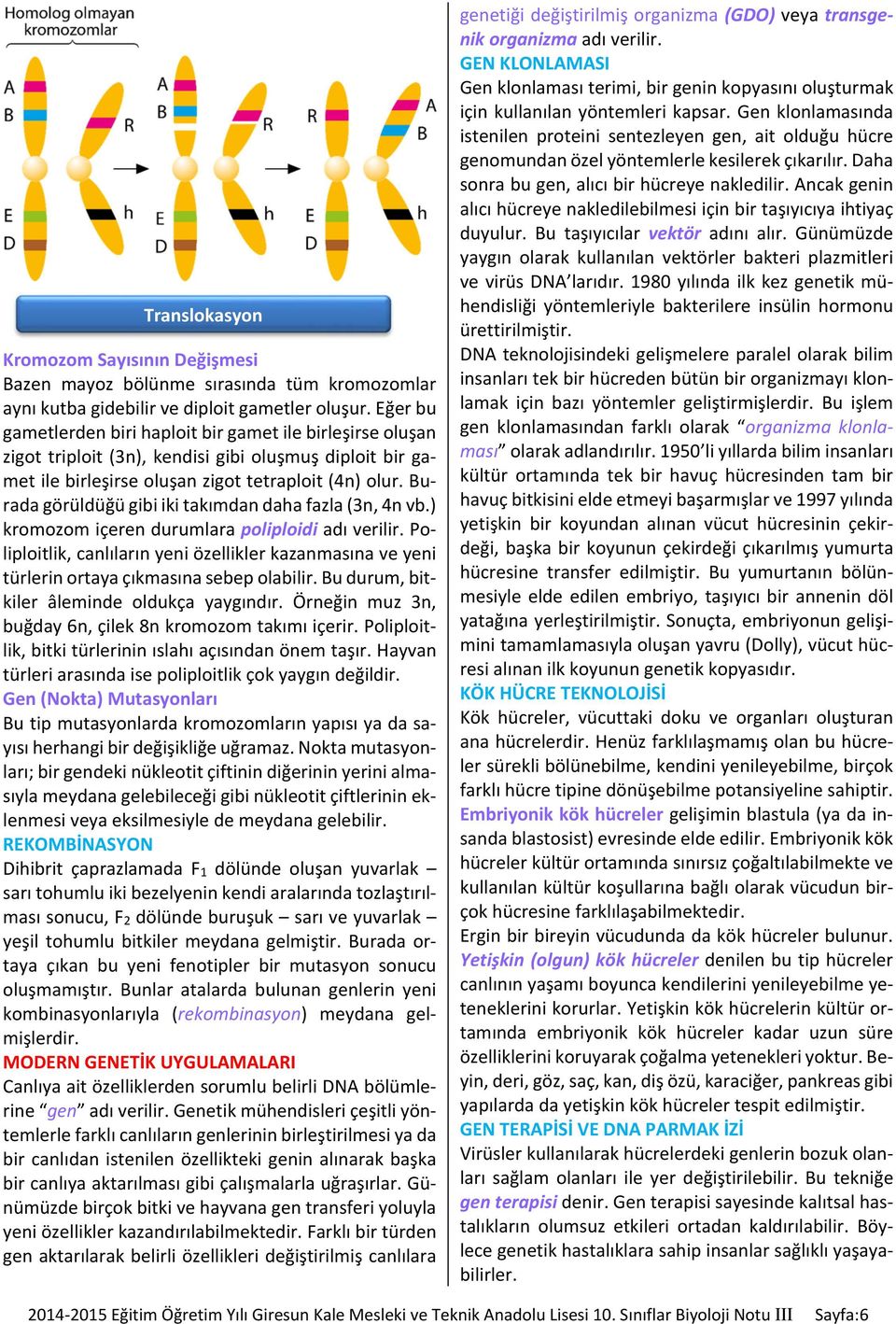 Burada görüldüğü gibi iki takımdan daha fazla (3n, 4n vb.) kromozom içeren durumlara poliploidi adı verilir.