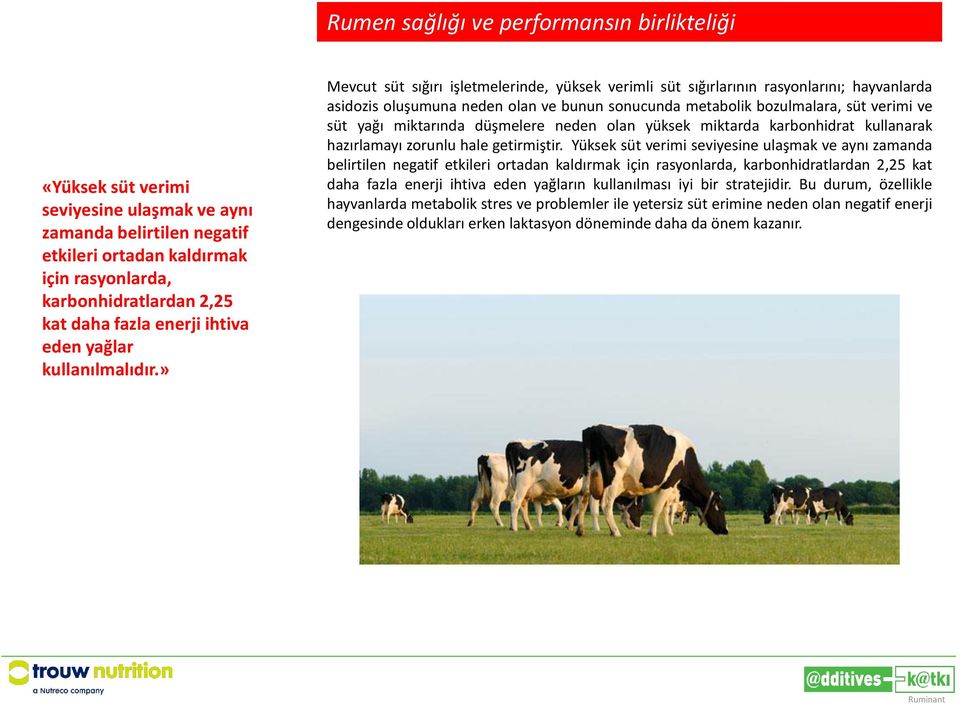 » Mevcut süt sığırı işletmelerinde, yüksek verimli süt sığırlarının rasyonlarını; hayvanlarda asidozis oluşumuna neden olan ve bunun sonucunda metabolik bozulmalara, süt verimi ve süt yağı miktarında