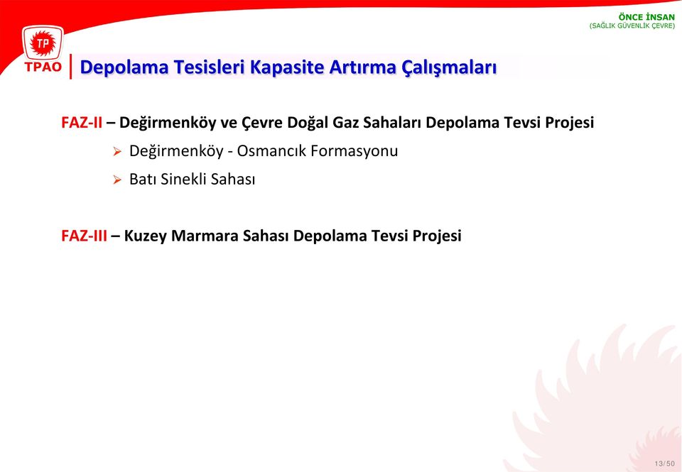Projesi Değirmenköy - Osmancık Formasyonu Batı Sinekli