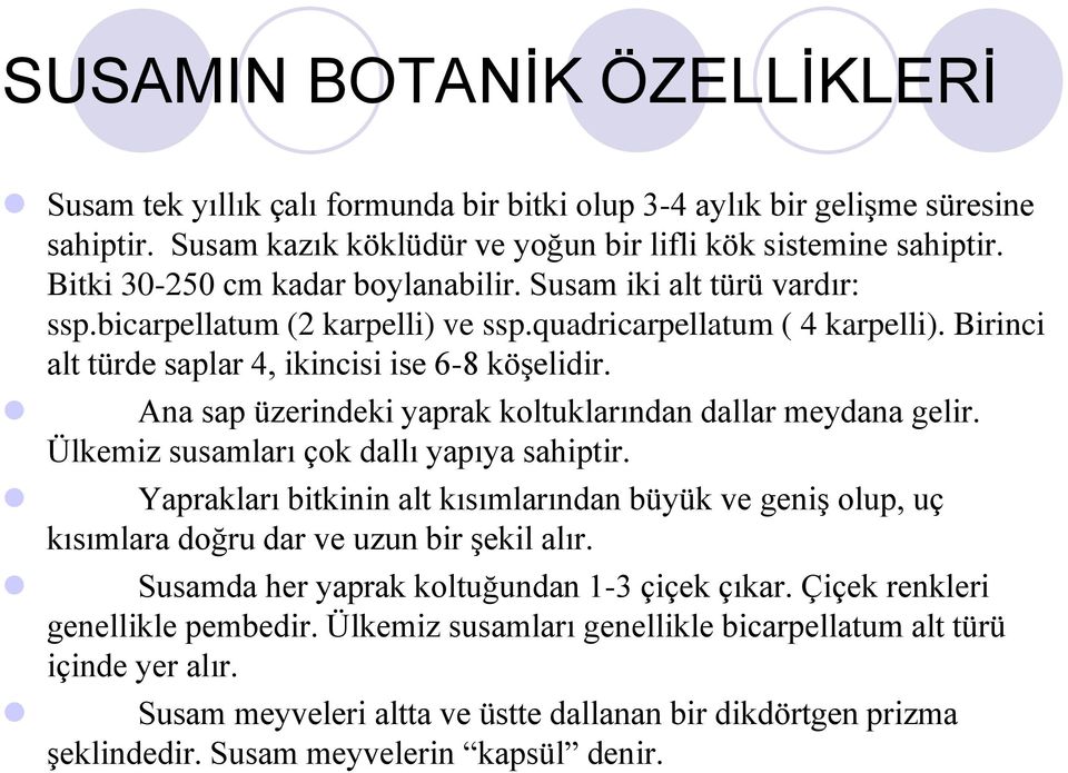 Ana sap üzerindeki yaprak koltuklarından dallar meydana gelir. Ülkemiz susamları çok dallı yapıya sahiptir.