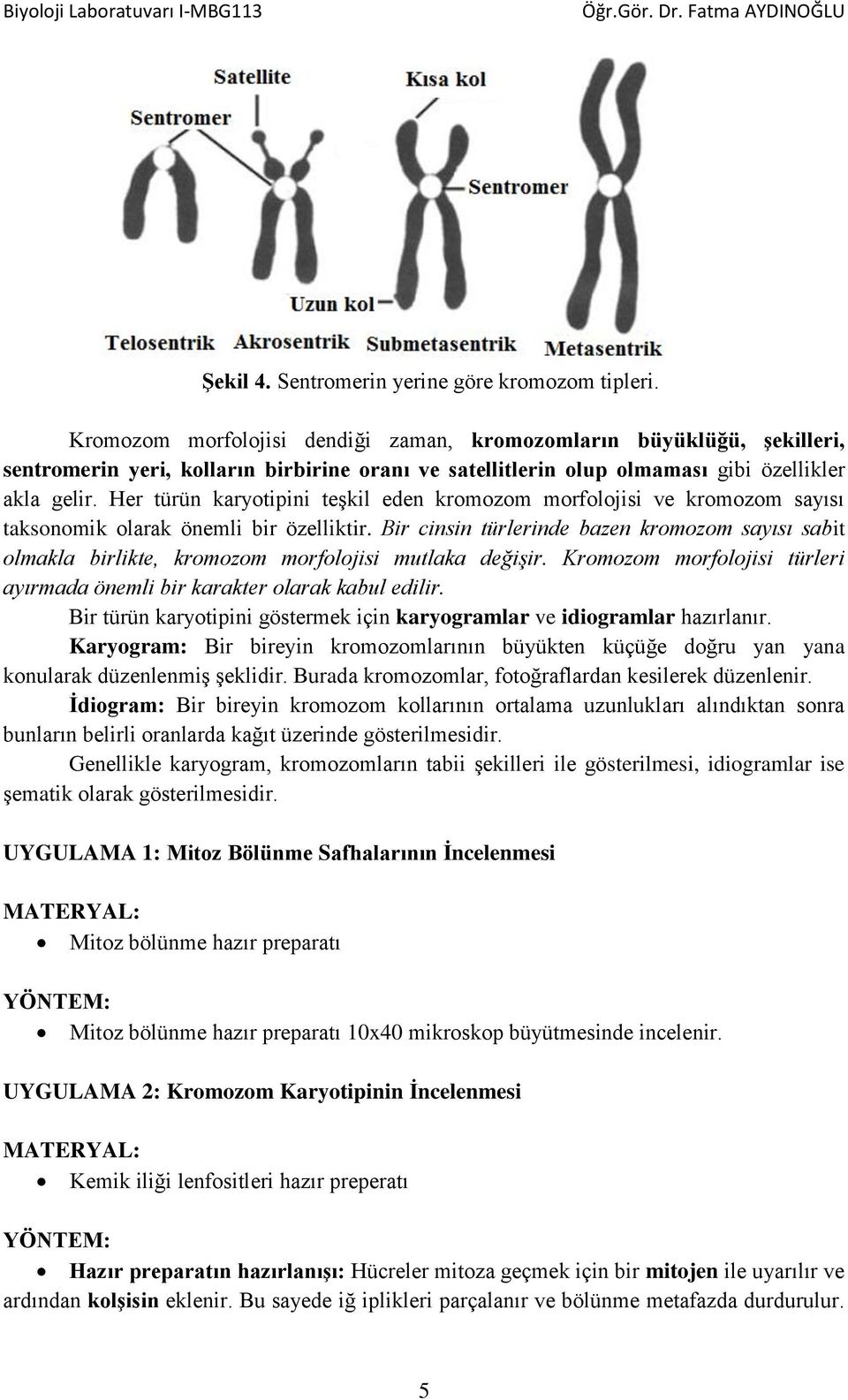 Her türün karyotipini teşkil eden kromozom morfolojisi ve kromozom sayısı taksonomik olarak önemli bir özelliktir.