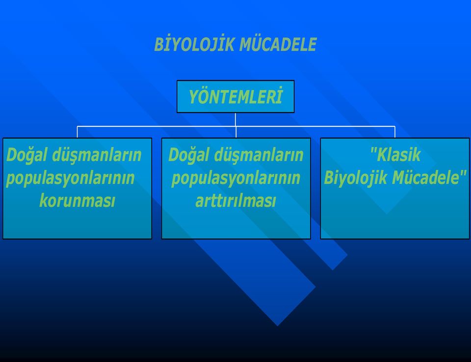 korunması Doğal  arttırılması "Klasik