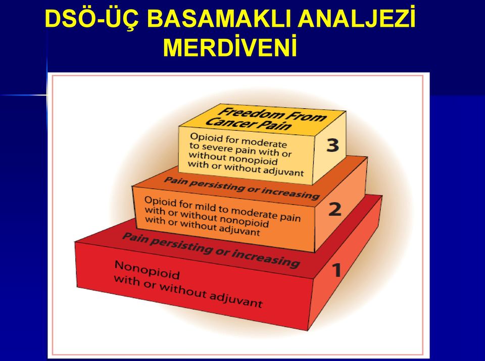 ANALJEZİ