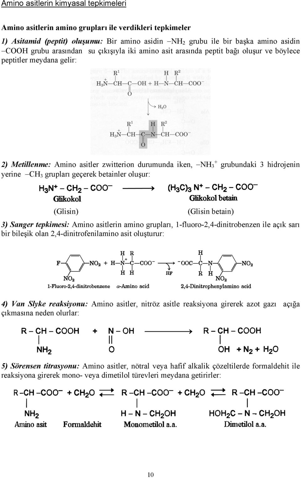 geçerek betainler oluşur: (Glisin) (Glisin betain) 3) Sanger tepkimesi: Amino asitlerin amino grupları, 1-fluoro-2,4-dinitrobenzen ile açık sarı bir bileşik olan 2,4-dinitrofenilamino asit oluşturur: