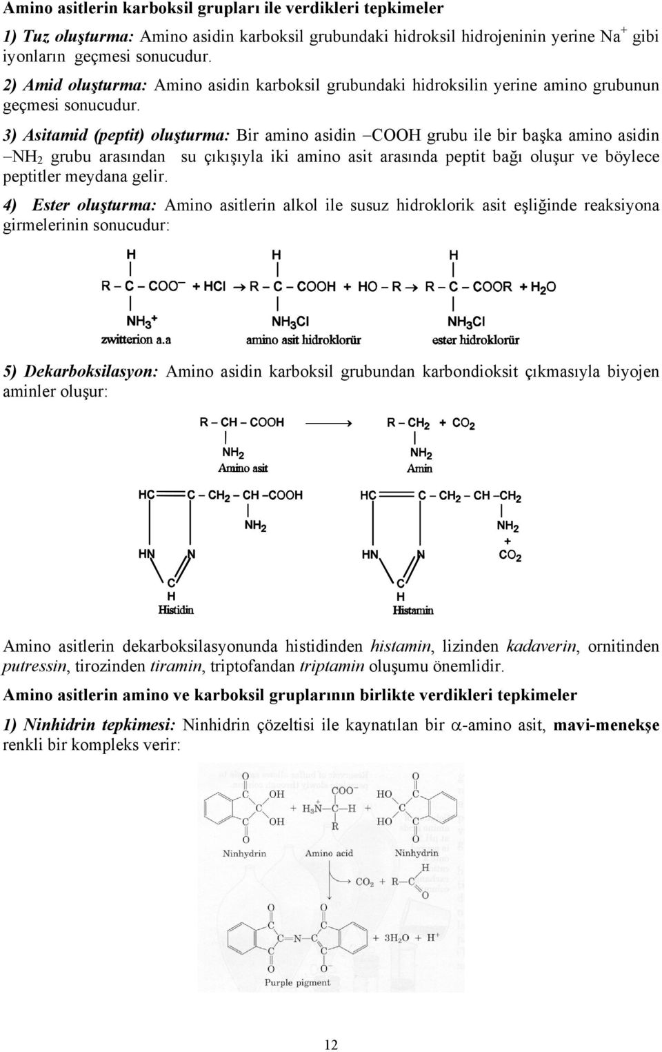 3) Asitamid (peptit) oluşturma: Bir amino asidin COOH grubu ile bir başka amino asidin NH 2 grubu arasından su çıkışıyla iki amino asit arasında peptit bağı oluşur ve böylece peptitler meydana gelir.