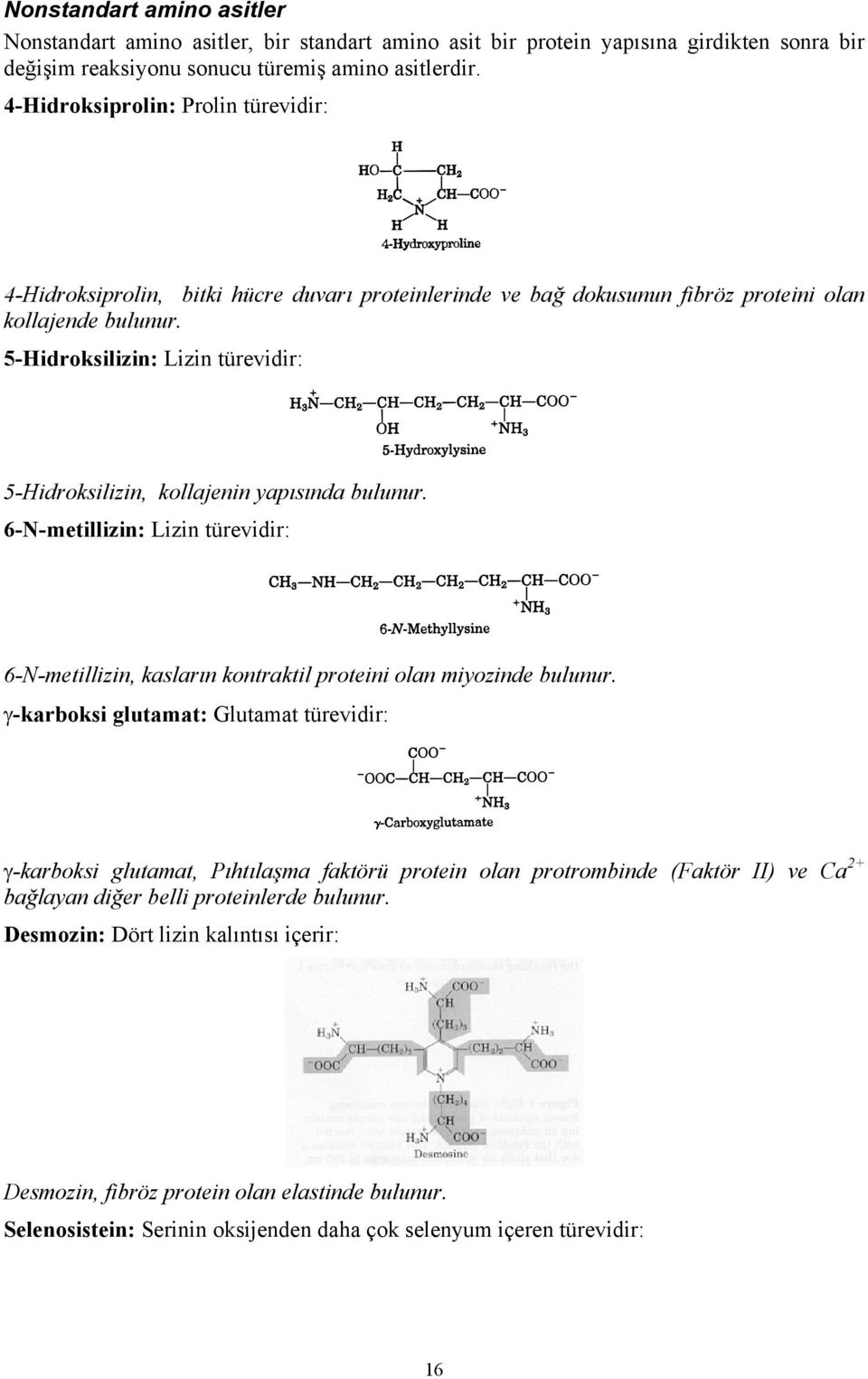 5-Hidroksilizin: Lizin türevidir: 5-Hidroksilizin, kollajenin yapısında bulunur. 6-N-metillizin: Lizin türevidir: 6-N-metillizin, kasların kontraktil proteini olan miyozinde bulunur.