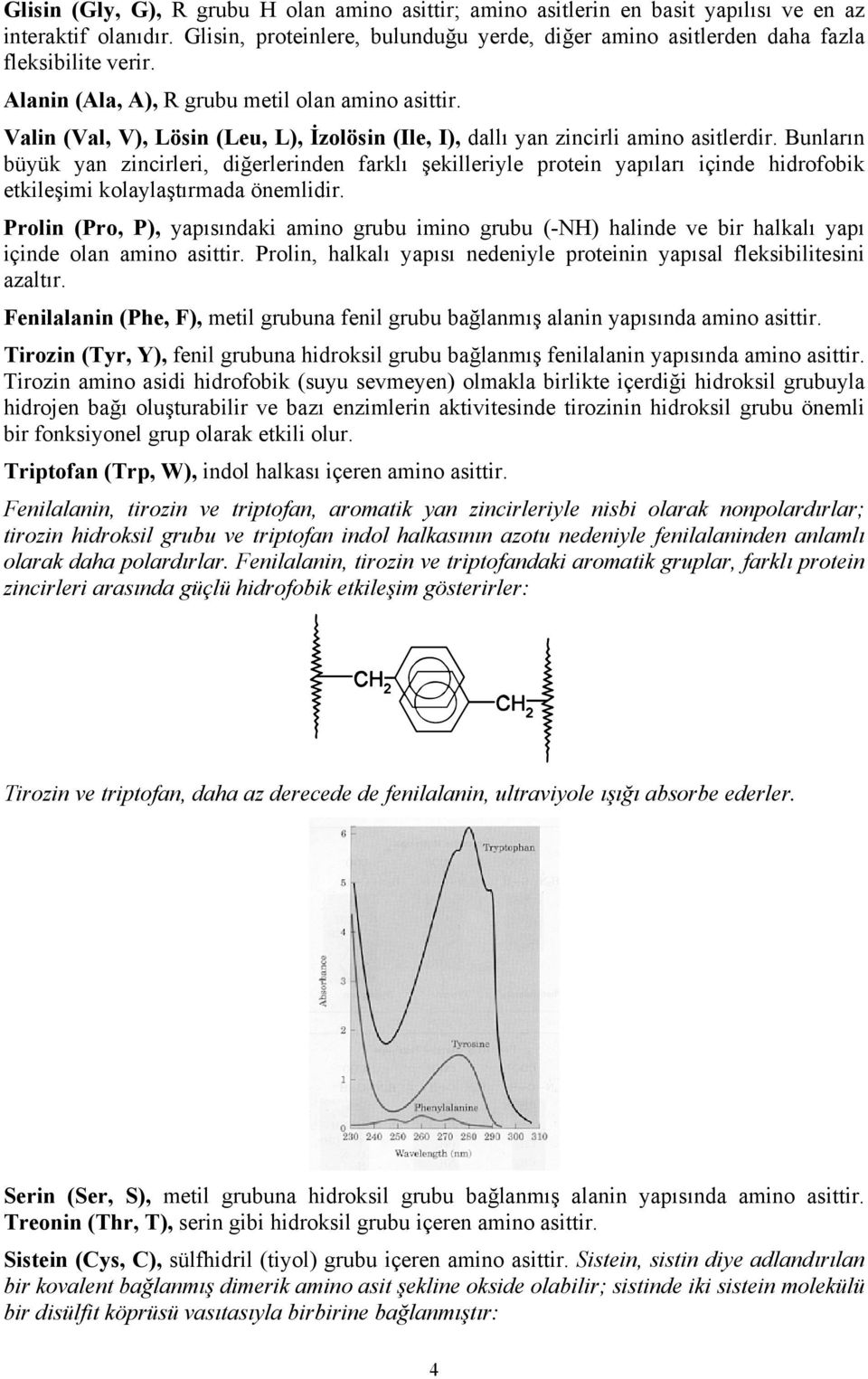 Valin (Val, V), Lösin (Leu, L), İzolösin (Ile, I), dallı yan zincirli amino asitlerdir.