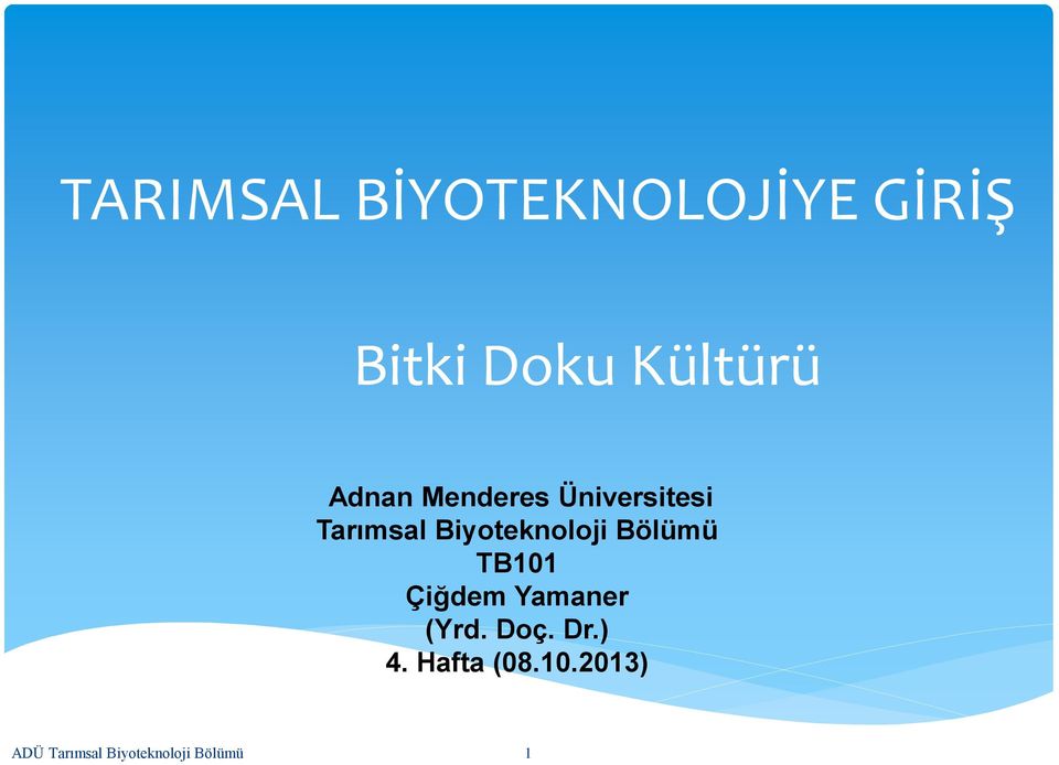 Bölümü TB101 Çiğdem Yamaner (Yrd. Doç. Dr.) 4.