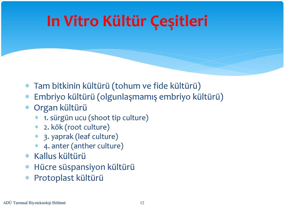 sürgün ucu (shoot tip culture) 2. kök (root culture) 3. yaprak (leaf culture) 4.