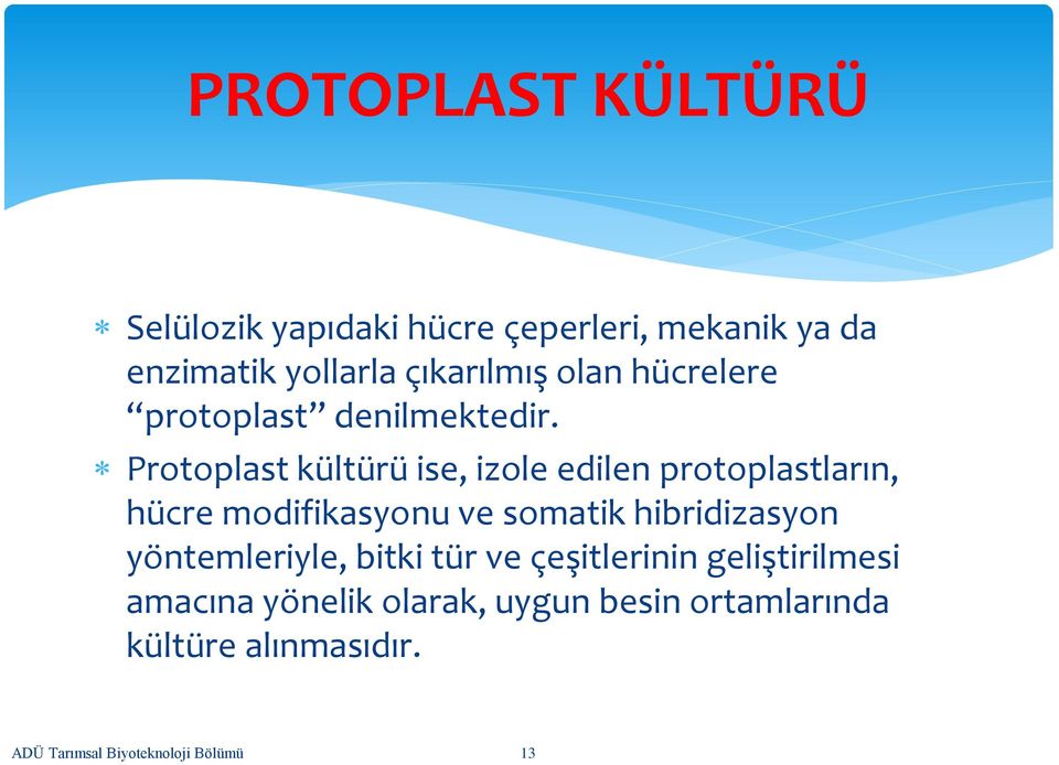 Protoplast kültürü ise, izole edilen protoplastların, hücre modifikasyonu ve somatik hibridizasyon