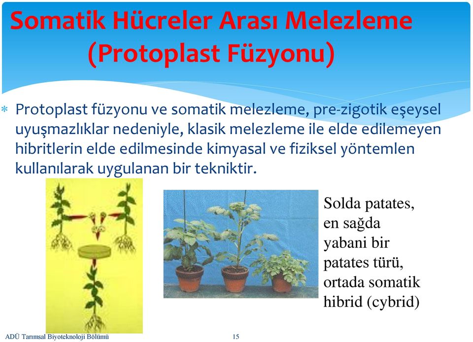 elde edilmesinde kimyasal ve fiziksel yöntemlen kullanılarak uygulanan bir tekniktir.