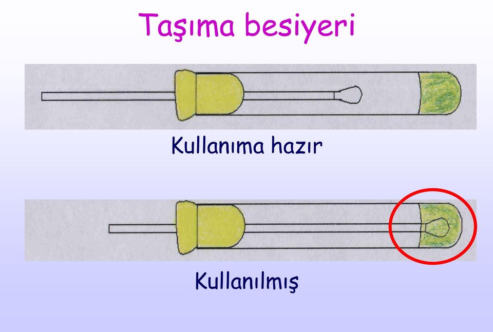 Kullanıma