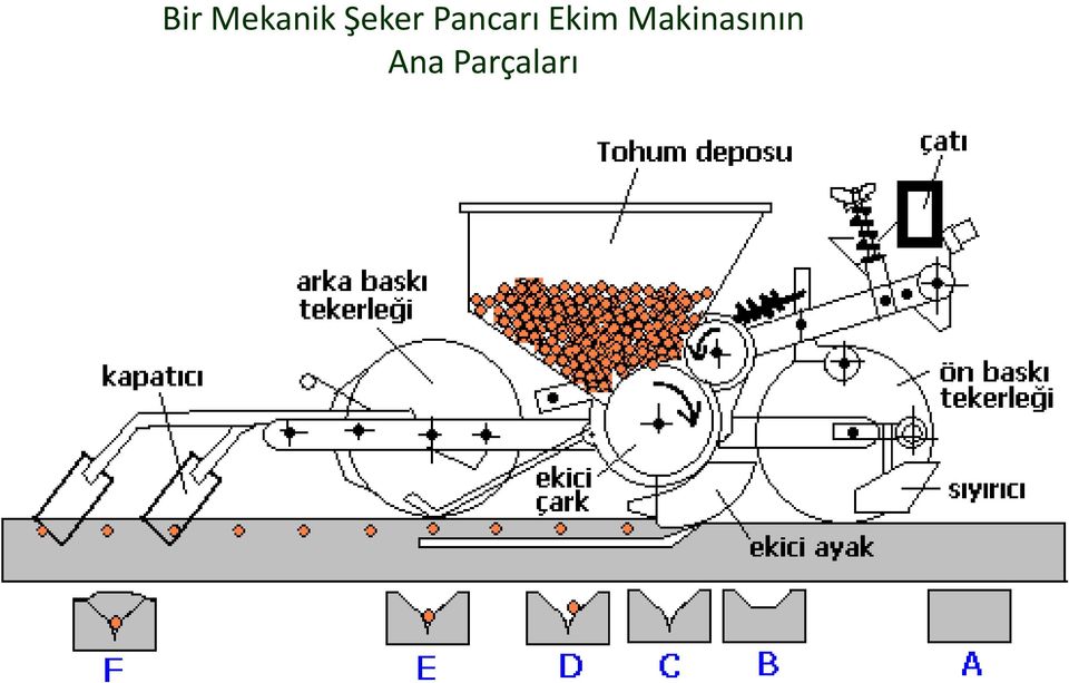 Ekim