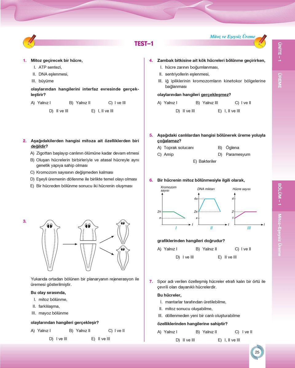 A) Zigottan başlayıp canlının ölümüne kadar devam etmesi B) Oluşan hücrelerin birbirleriyle ve atasal hücreyle aynı genetik yapıya sahip olması C) Kromozom sayısının değişmeden kalması D) Eşeyli