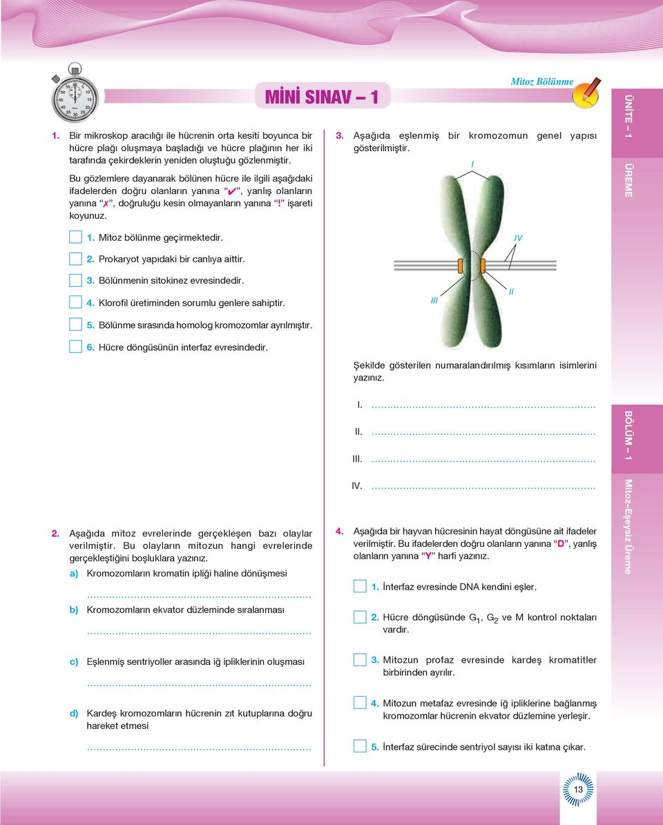 Mitoz bölünme geçirmektedir. 2. Prokaryot yapıdaki bir canlıya aittir. 3. Bölünmenin sitokinez evresindedir. 4. Klorofil üretiminden sorumlu genlere sahiptir. 5.