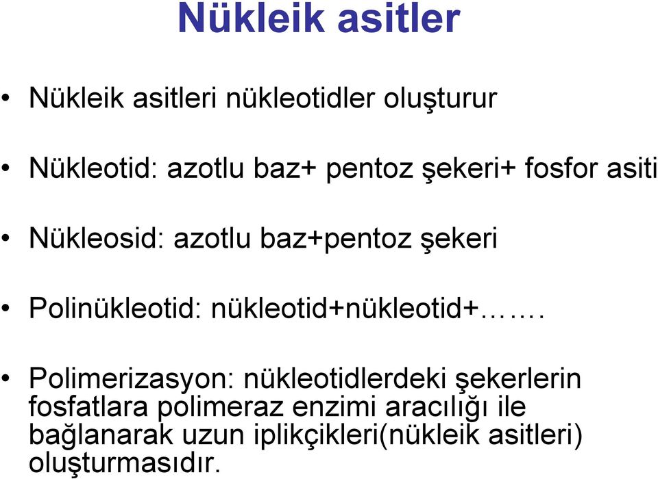 nükleotid+nükleotid+.