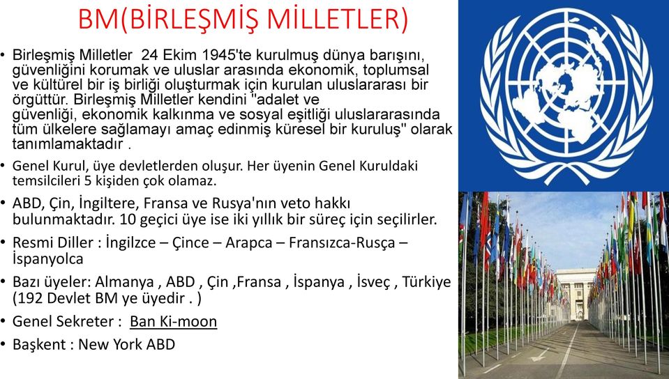 Birleşmiş Milletler kendini "adalet ve güvenliği, ekonomik kalkınma ve sosyal eşitliği uluslararasında tüm ülkelere sağlamayı amaç edinmiş küresel bir kuruluş" olarak tanımlamaktadır.