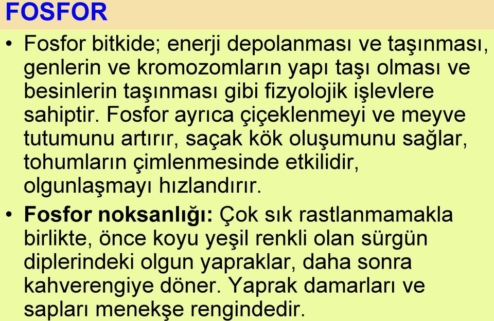 Fosfor ayrıca çiçeklenmeyi ve meyve tutumunu artırır, saçak kök oluşumunu sağlar, tohumların çimlenmesinde etkilidir,