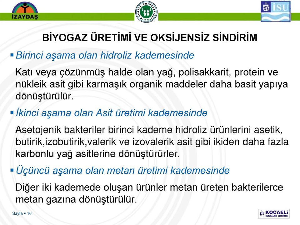 İkinci aşama olan Asit üretimi kademesinde Asetojenik bakteriler birinci kademe hidroliz ürünlerini asetik, butirik,izobutirik,valerik ve