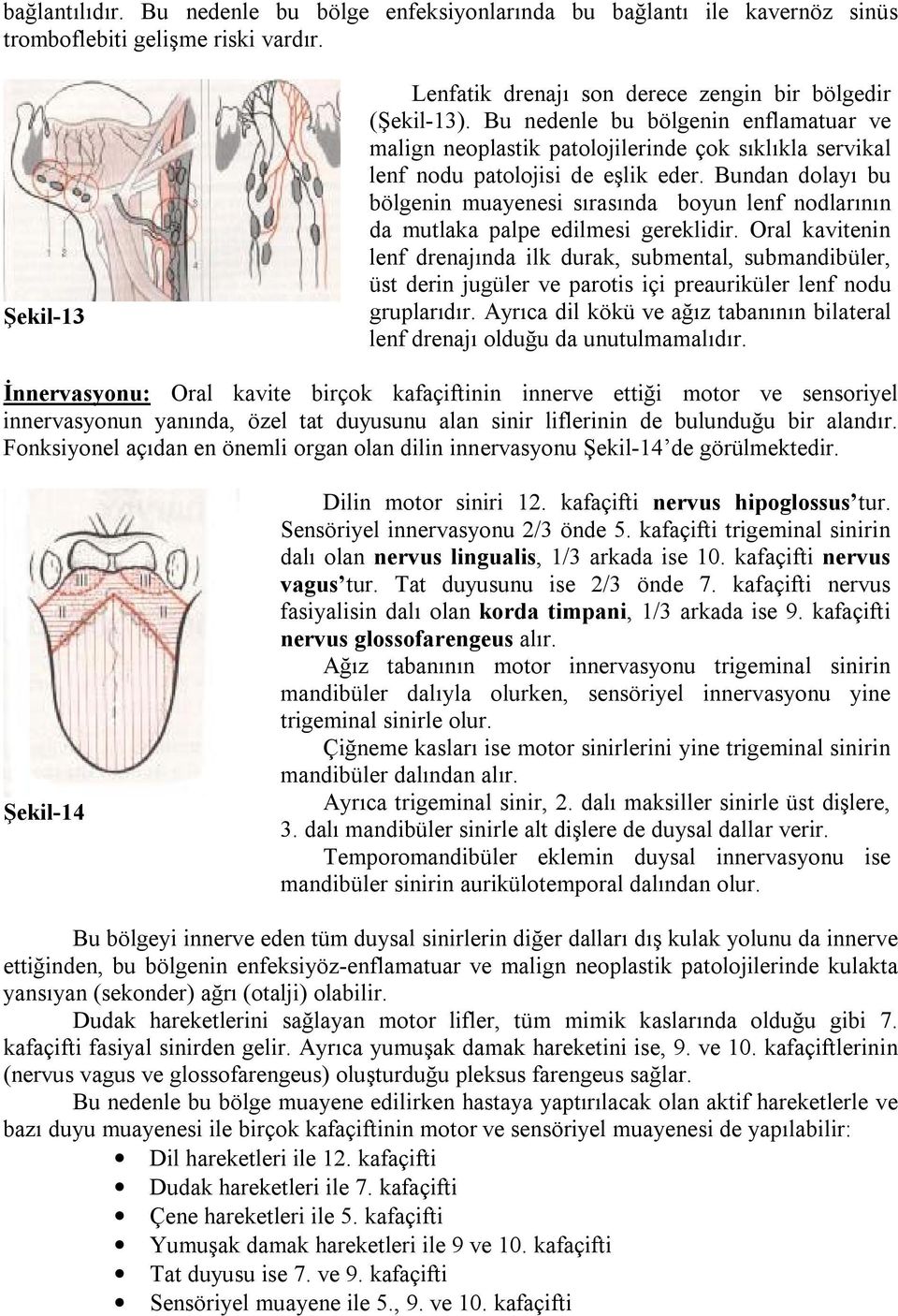 Bundan dolayı bu bölgenin muayenesi sırasında boyun lenf nodlarının da mutlaka palpe edilmesi gereklidir.