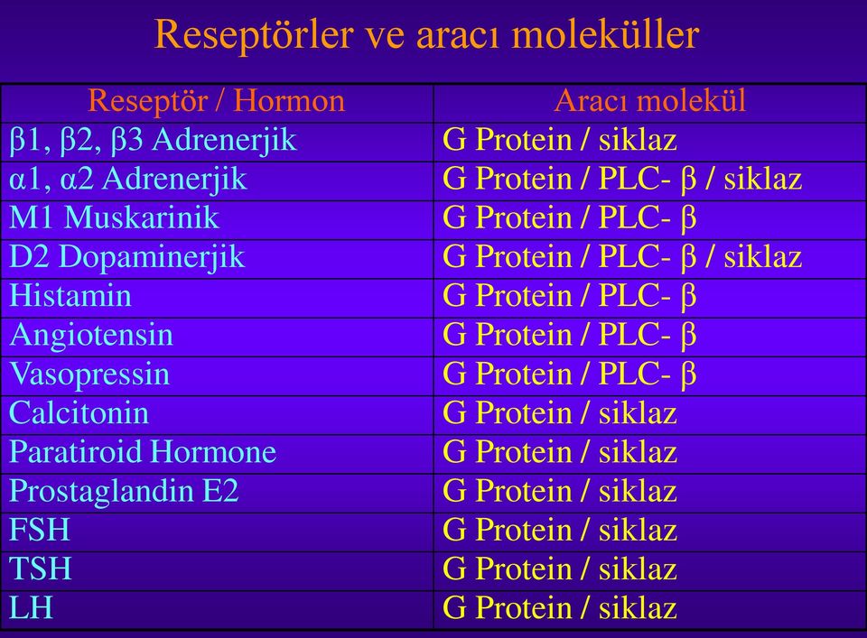 Protein / PLC- β Angiotensin G Protein / PLC- β Vasopressin G Protein / PLC- β Calcitonin G Protein / siklaz Paratiroid