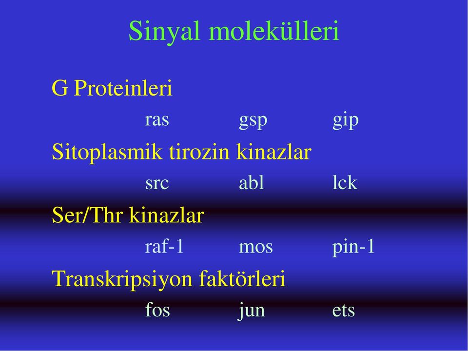 Ser/Thr kinazlar src abl lck raf-1 mos