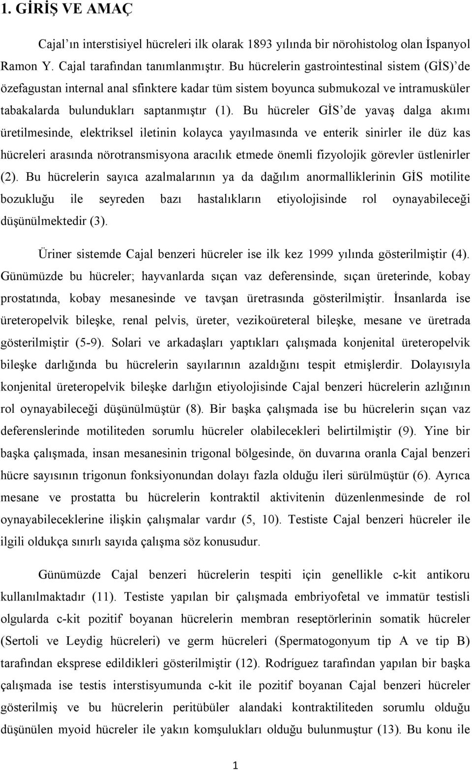 Bu hücreler GİS de yavaş dalga akımı üretilmesinde, elektriksel iletinin kolayca yayılmasında ve enterik sinirler ile düz kas hücreleri arasında nörotransmisyona aracılık etmede önemli fizyolojik