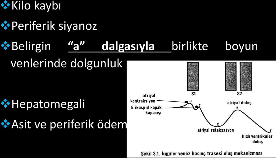 boyun venlerinde dolgunluk