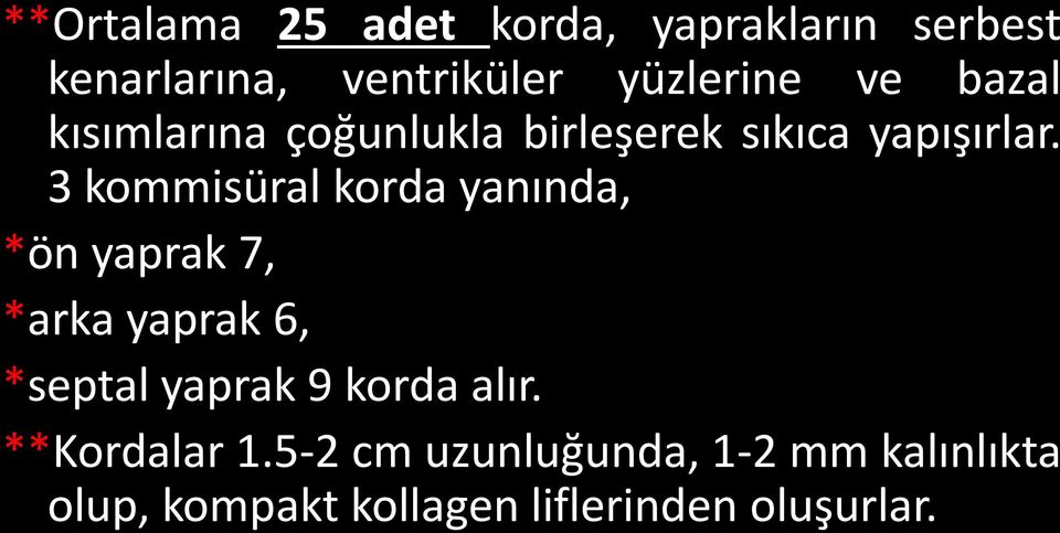 3 kommisüral korda yanında, *ön yaprak 7, *arka yaprak 6, *septal yaprak 9 korda