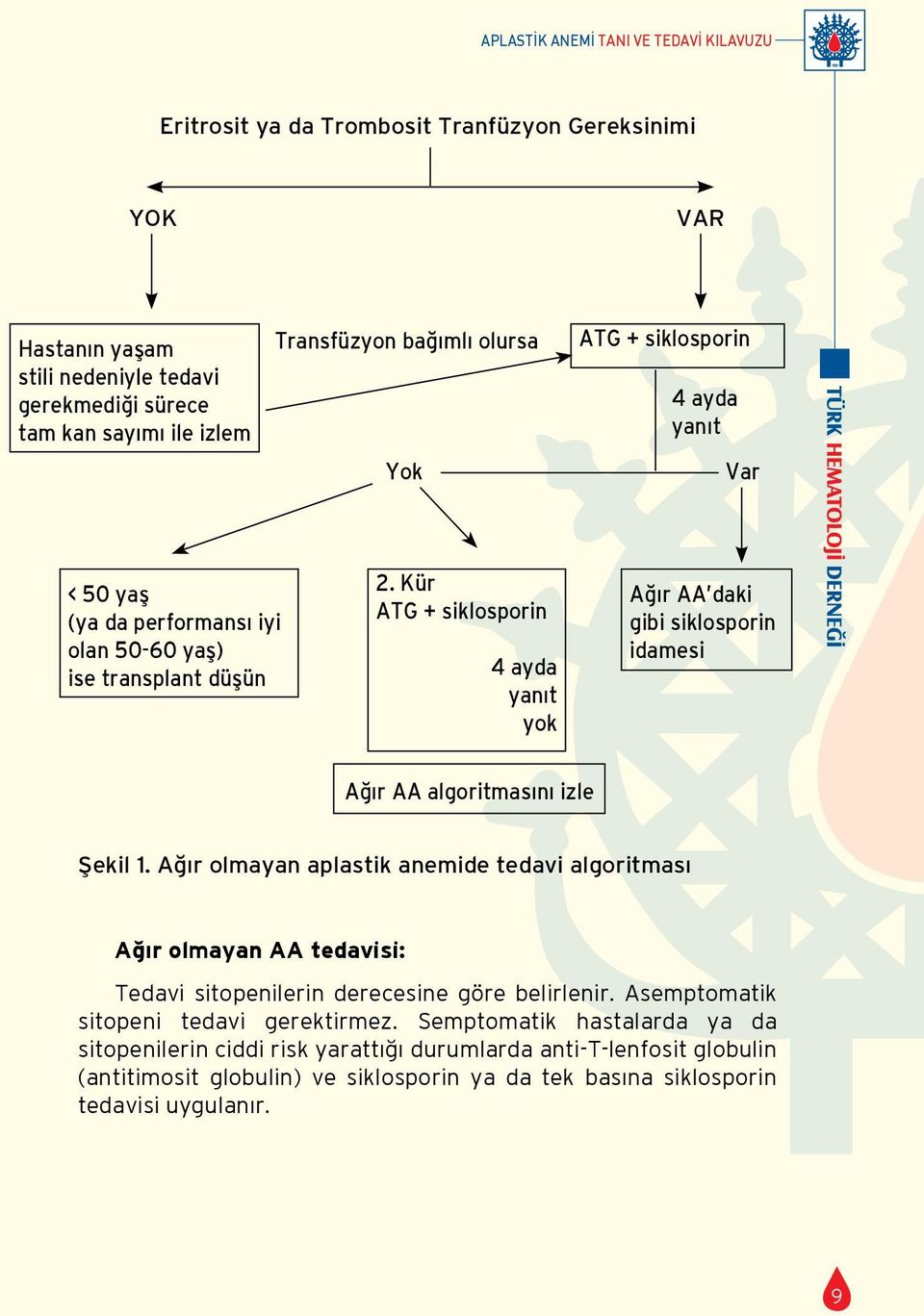 Kür ATG + siklosporin 4 ayda yanıt yok Ağır AA daki gibi siklosporin idamesi Ağır AA algoritmasını izle Şekil 1.