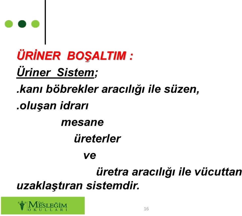 oluşan idrarı mesane üreterler ve