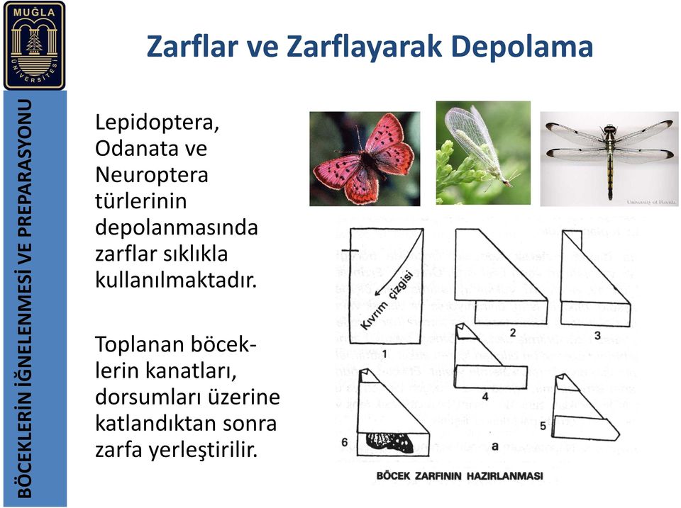 depolanmasında zarflar sıklıkla kullanılmaktadır.