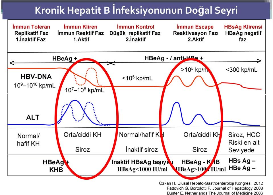 Aktif HBsAg Klirensi HBsAg negatif faz HBeAg + HBeAg - / anti-hbe + < > < > HBV-DNA <10 5 kp/ml 10 9 10 10 kp/ml 10 7 10 8 kp/ml >10 5 kp/ml <300 kp/ml ALT Normal/ hafif KH HBeAg +