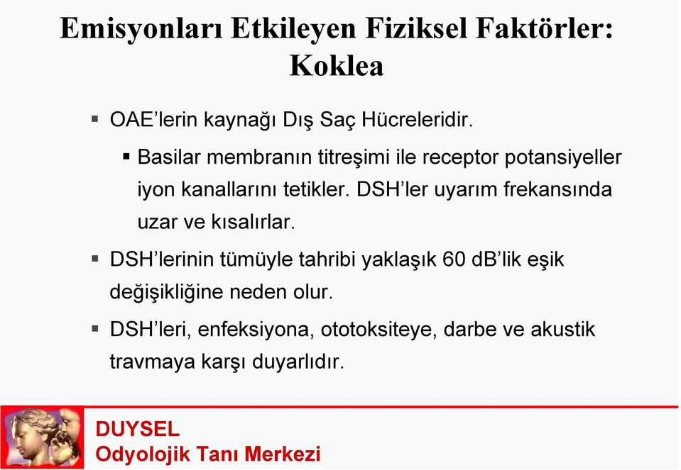 DSH ler uyarım frekansında uzar ve kısalırlar.