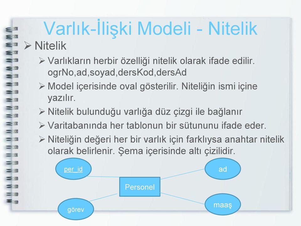 Nitelik bulunduğu varlığa düz çizgi ile bağlanır Varitabanında her tablonun bir sütununu ifade eder.