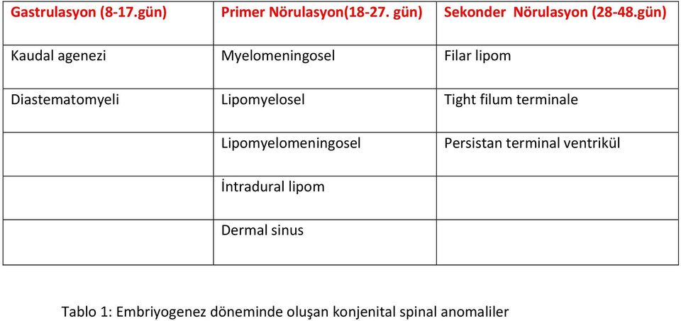 Tight filum terminale Lipomyelomeningosel Persistan terminal ventrikül İntradural