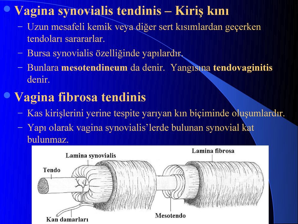 Yangısına tendovaginitis denir.