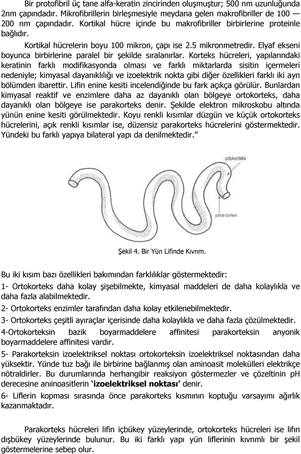 Elyaf ekseni boyunca birbirlerine paralel bir şekilde sıralanırlar.