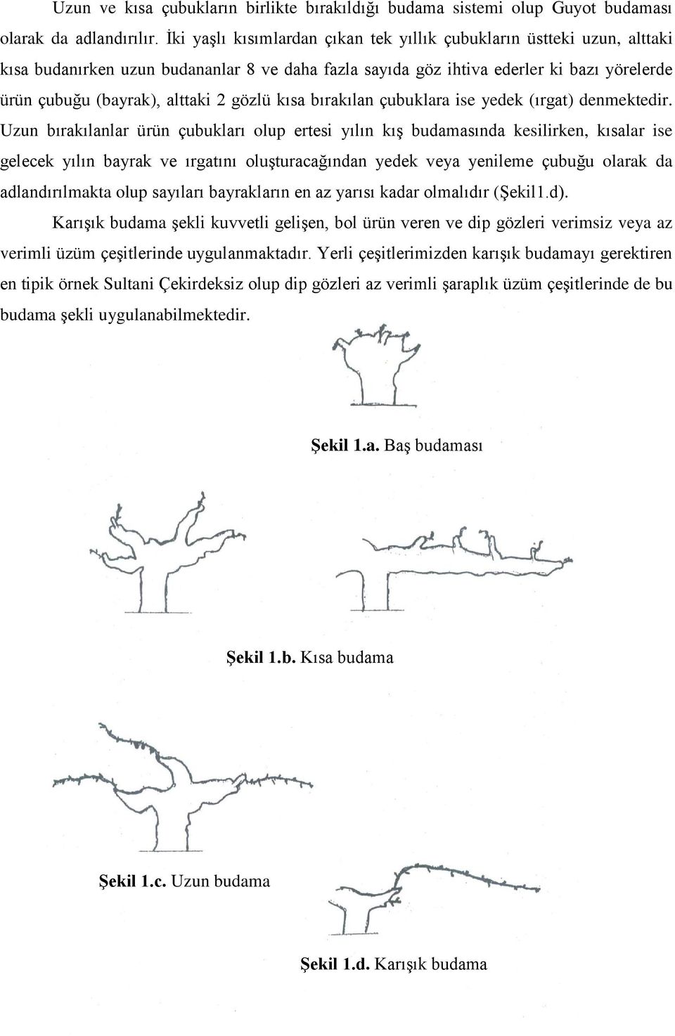 gözlü kısa bırakılan çubuklara ise yedek (ırgat) denmektedir.