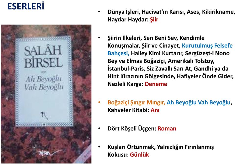 İstanbul-Paris, Siz Zavallı Sarı At, Gandhi ya da Hint Kirazının Gölgesinde, Hafiyeler Önde Gider, Nezleli Karga: Deneme Boğaziçi