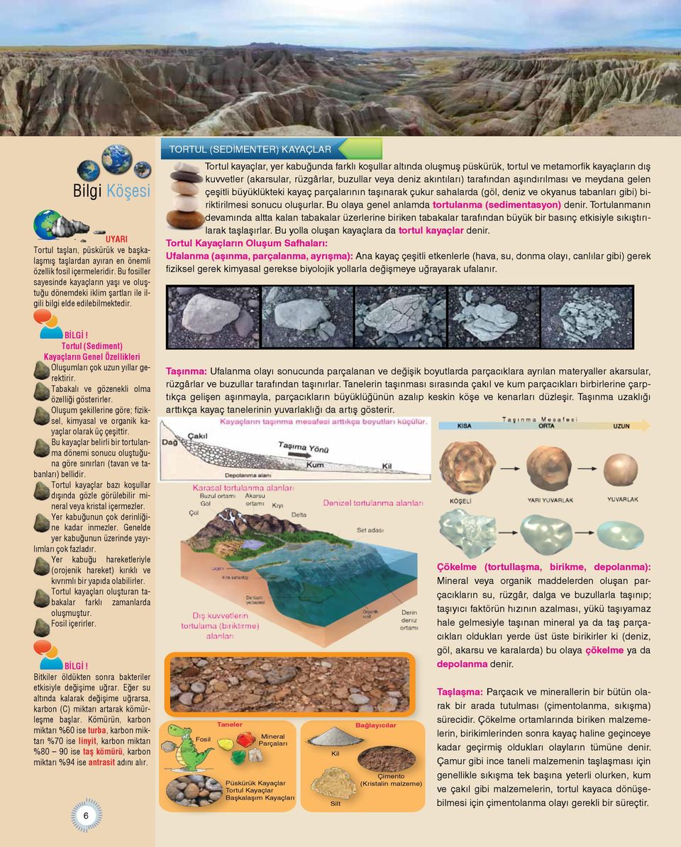 Bu fosiller sayesinde kayaçların yaşı ve oluştuğu dönemdeki iklim şartları ile ilgili bilgi elde edilebilmektedir. Tortul (Sediment) Kayaçların Genel Özellikleri Oluşumları çok uzun yıllar gerektirir.