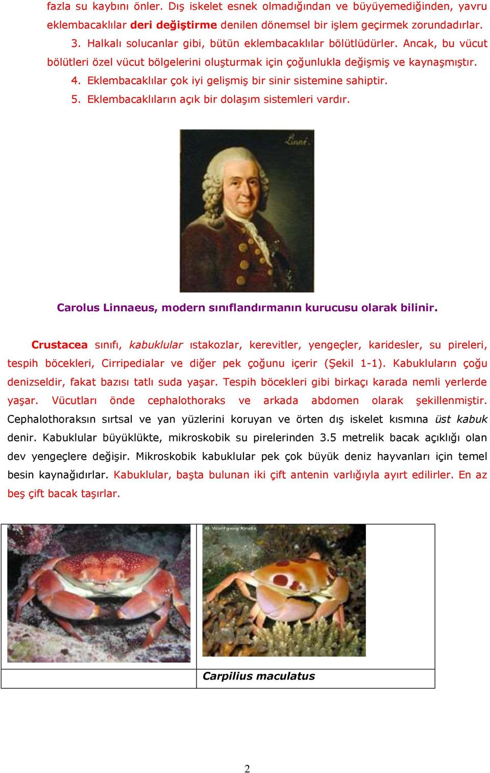 Eklembacaklılar çok iyi gelişmiş bir sinir sistemine sahiptir. 5. Eklembacaklıların açık bir dolaşım sistemleri vardır. Carolus Linnaeus, modern sınıflandırmanın kurucusu olarak bilinir.