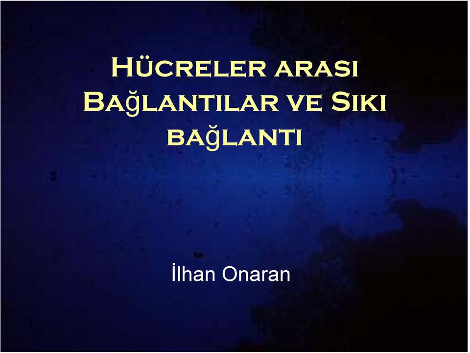 Bağlantılar