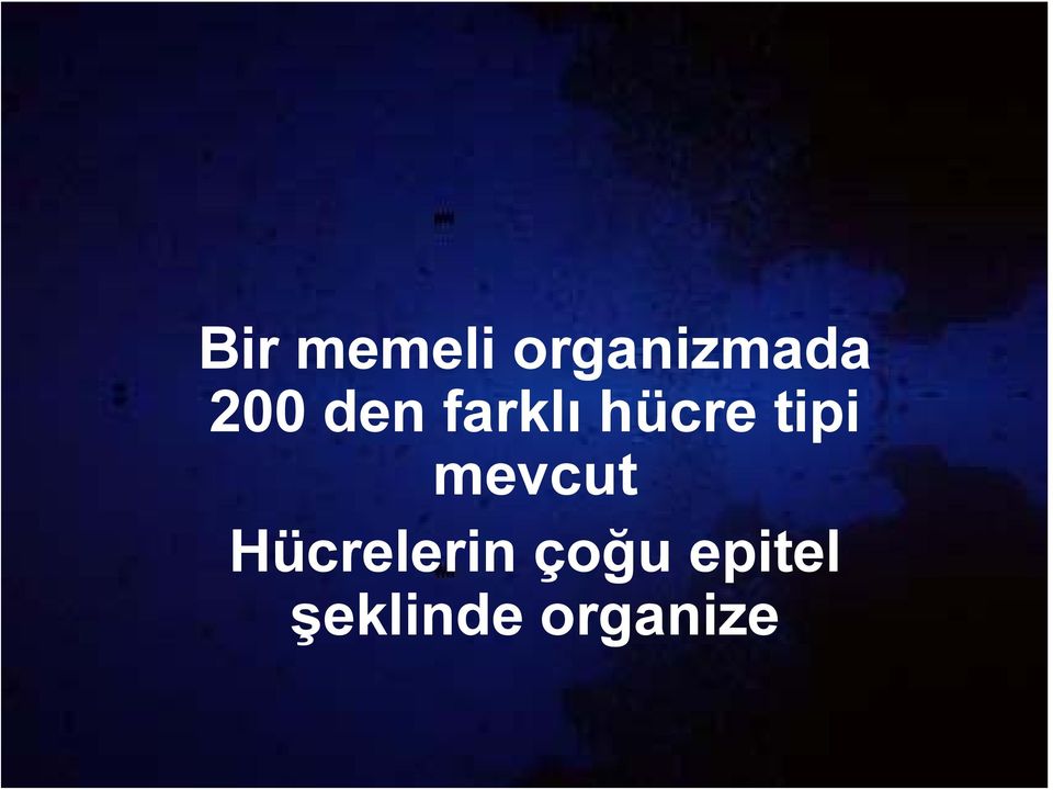 tipi mevcut Hücrelerin