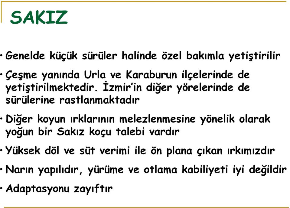 İzmir in diğer yörelerinde de sürülerine rastlanmaktadır Diğer koyun ırklarının melezlenmesine