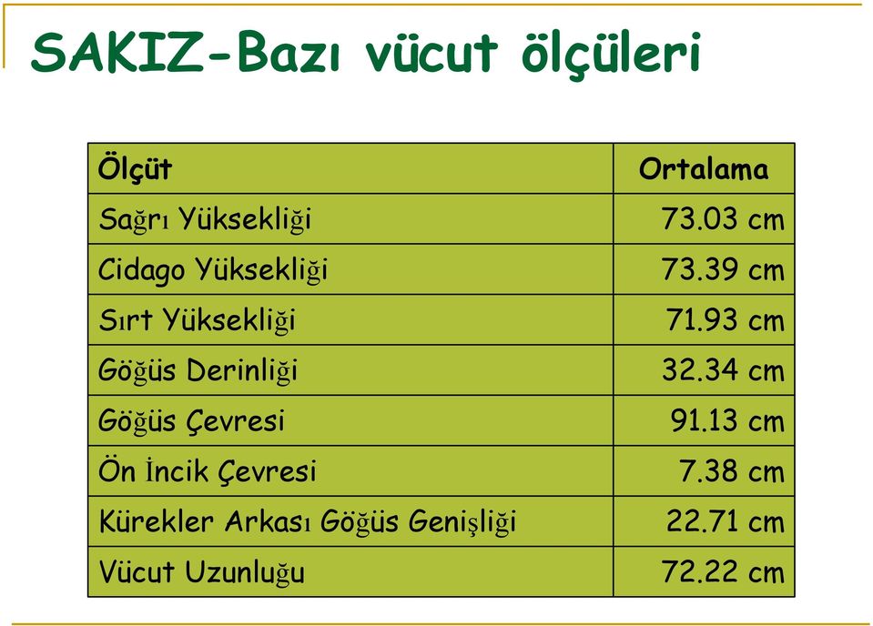 İncik Çevresi Kürekler Arkası Göğüs Genişliği Vücut Uzunluğu