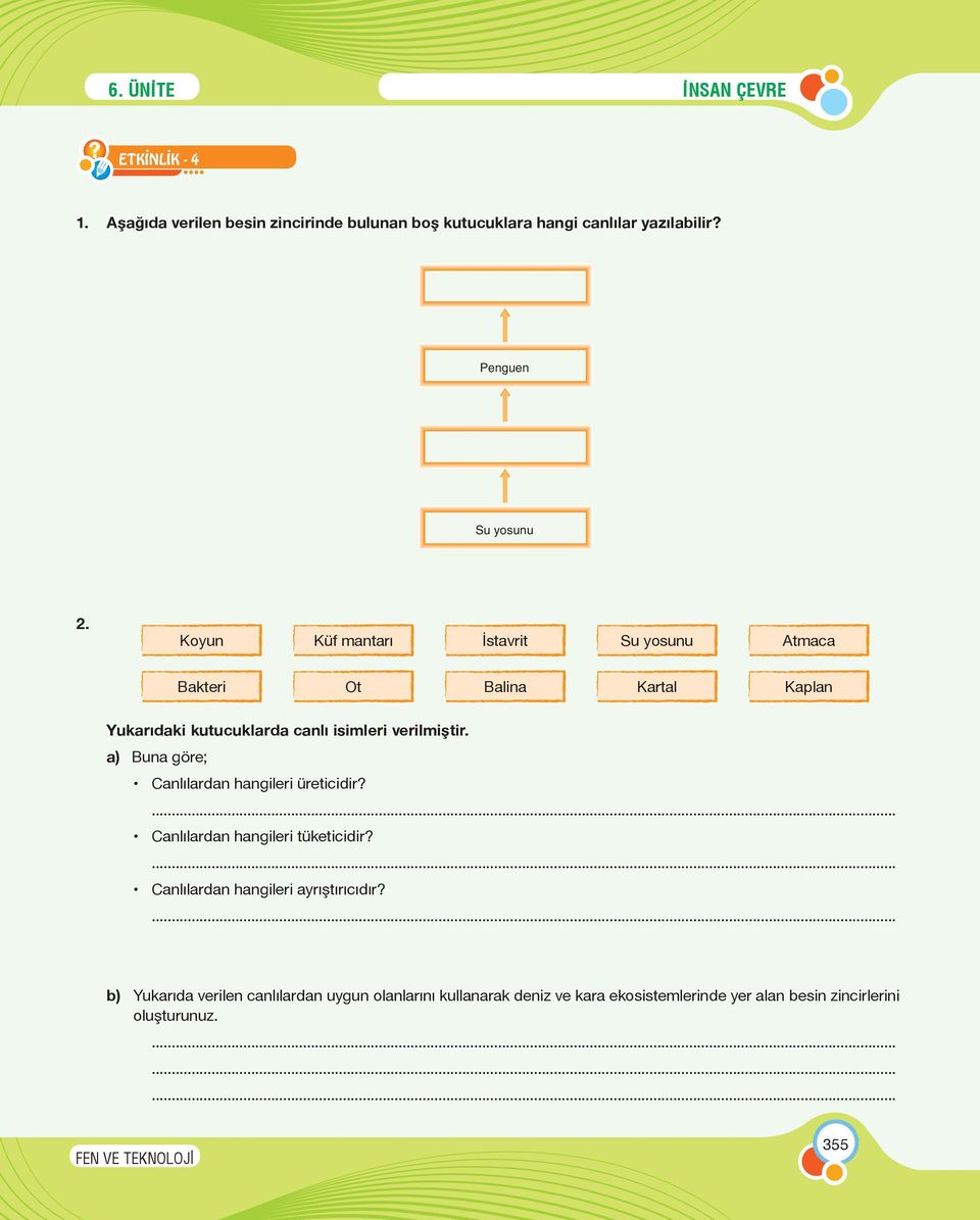 a) Buna göre; Canlılardan hangileri üreticidir?... Canlılardan hangileri tüketicidir?... Canlılardan hangileri ayrıştırıcıdır?