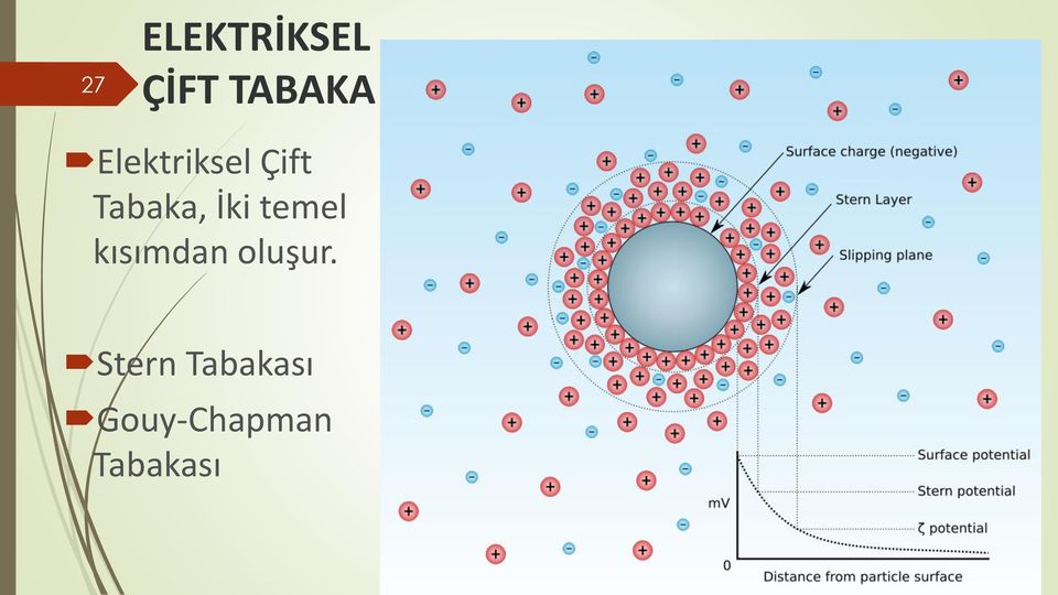 temel kısımdan oluşur.