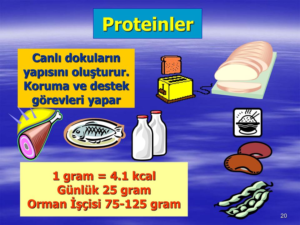 Koruma ve destek görevleri yapar 1